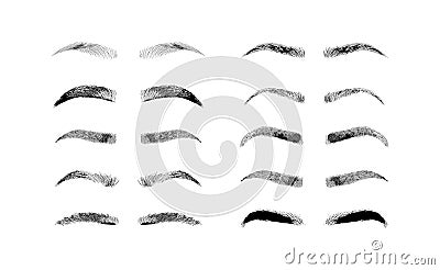 Eyebrow shapes. Various types of eyebrows. Classic type and other. Trimming. Vector illustration with different Vector Illustration