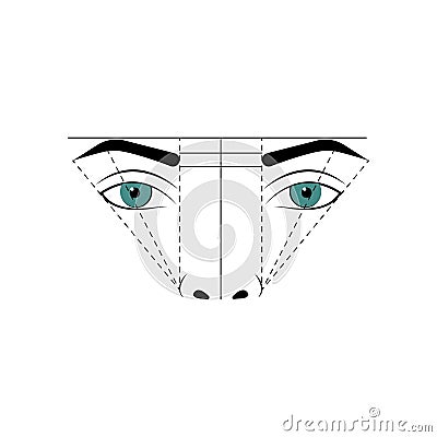 Eyebrow tattoo, marking scheme. Eyebrow correction, microblading Vector Illustration