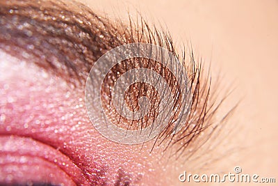 Eyebrows Macro. Close up of eye with beautiful brown with pink shades smokey eyes makeup. Modern fashion make up. Young woman Stock Photo