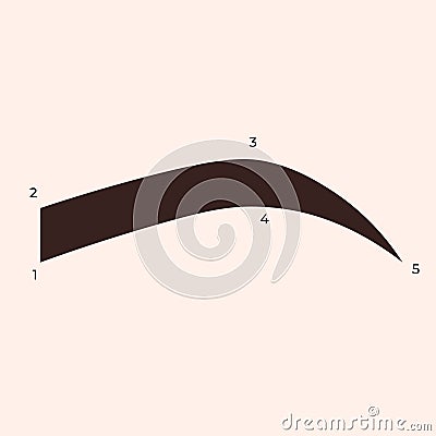 Eyebrows shaping and coloring. Points of perfect Eyebrow shape Vector Illustration