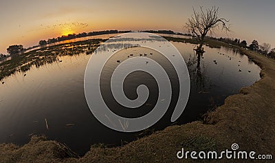 Eyefish shot of a lagoon with ducks, capibaras, birds and waterplants at sunset in Las Flores, Buenos Aires, Argentina Stock Photo