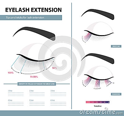 Eyelash extension guide. Density of eyelash extension for great look. Tips and tricks. Infographic vector illustration. Template Vector Illustration