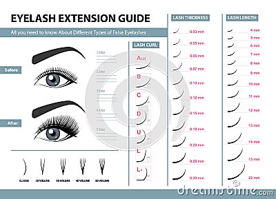 Eyelash extension guide. Different Types of False Eyelashes. Infographic vector illustration. Template for Makeup Vector Illustration