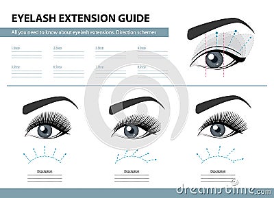 Eyelash extension guide. Direction schemes. Tips and tricks for lash extension. Infographic vector illustration. Template Vector Illustration