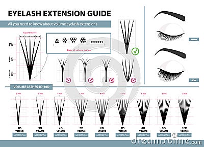 Eyelash extension guide. Volume eyelash extensions. 2D - 10D Volume. Tips and tricks. Infographic vector illustration Vector Illustration