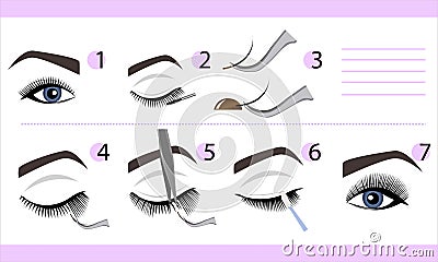 Eyelash extension infographics. Step by step guide. Types of Lash Curls, vector illustration Vector Illustration