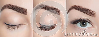 Eyelash extension procedure close up. Stock Photo