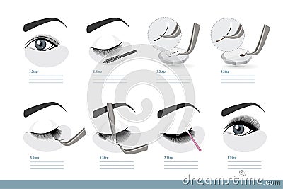 Eyelash Extension Procedure. How to Apply Eyelash Extensions Step by Step. Full Tutorial on Application. Guide. Infographic Vector Vector Illustration
