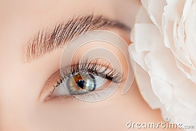 Eyelash extension procedure microblading for green eyes woman in salon. Concept beauty care skin face Stock Photo