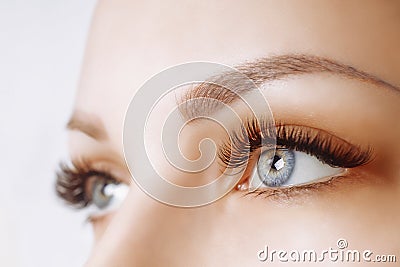 Eyelash Extension Procedure. Woman Eye with Long Eyelashes. Close up, selective focus. Stock Photo