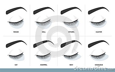 Eyelash Extension Style Chart. Different Eyelash Extension Types and Shapes for Most Attractive Look. Guide. Infographic Vector Vector Illustration