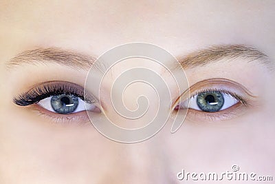 Eyelash extensions. Stock Photo