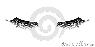 Eyelash or lash mascara vector icons Vector Illustration