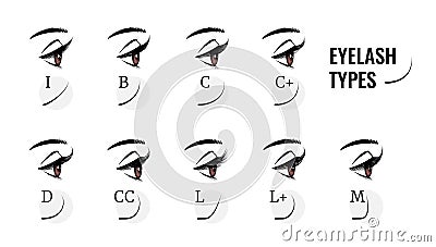 Eyelash types. Curved female eyelashes extension, various length and bend. Profile view of woman eyes with long fake Vector Illustration