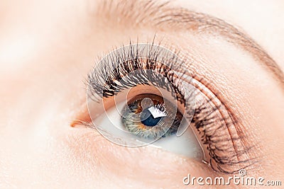 Eyelashes extensions procedure in spa beauty salon. Macro Beautiful eye with makeup Stock Photo