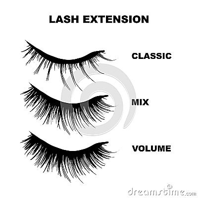 Eyelashes mapping beauty business illustration. lashes extension art. Different shapes - classic, volume, hybrid curly icons set, Vector Illustration