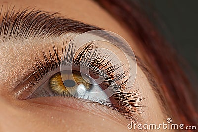 Eyelashes Stock Photo