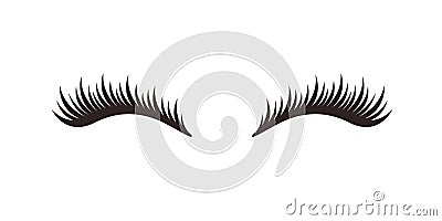 Eyelashes on white background, vector illustration. Vector Illustration