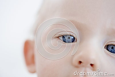 The eyes of a child. Close crop of a baby boys blue eyes and nose. Stock Photo