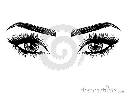 Eyes with long eyelashes and brows Vector Illustration