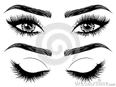 Eyes with long eyelashes and brows Vector Illustration