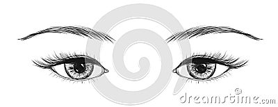 Eyes made in hand drawn technique. Vector illustration. Vector Illustration