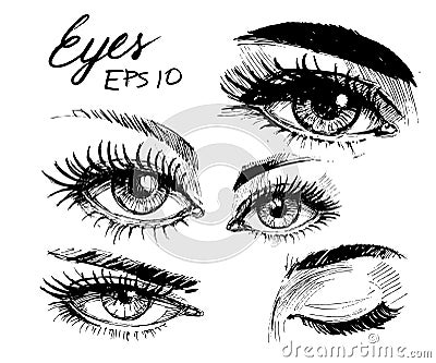 Eyes sketch Vector Illustration