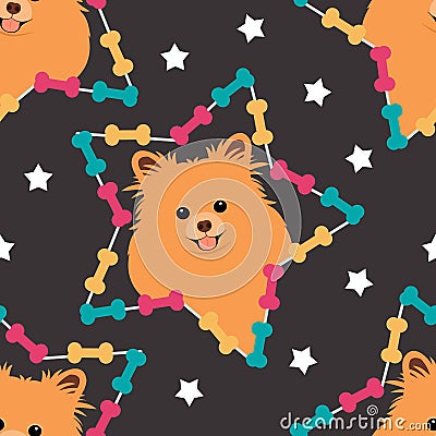 Shiny pomeranian dog head in dog bone star seamless pattern background. Cartoon dog puppy background. Hand drawn childish Cartoon Illustration