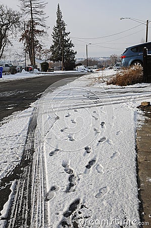 12f Fahrenheit degree cold on christmas eve in Lewiston,Idaho Stock Photo