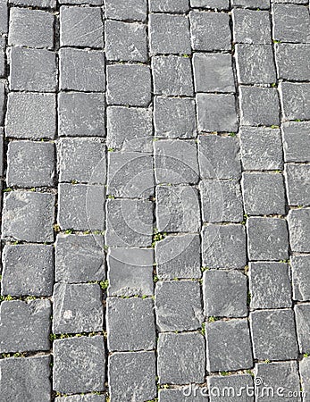 f gray tiles called in Italian Sampietrini typical floor in Sain Stock Photo