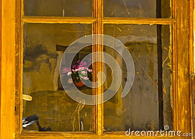Reflected Façade with wood door window and blooming flowers in Brantome en Perigord southwest France Stock Photo
