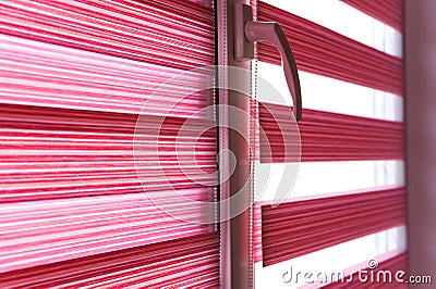 Fabric roller blinds on the window. Stock Photo