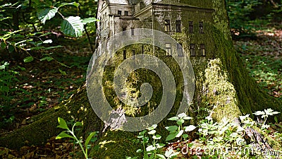 Fabulous apartment building in a forest stump Stock Photo