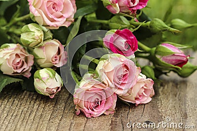 Fabulous bouquet of colorful roses Stock Photo