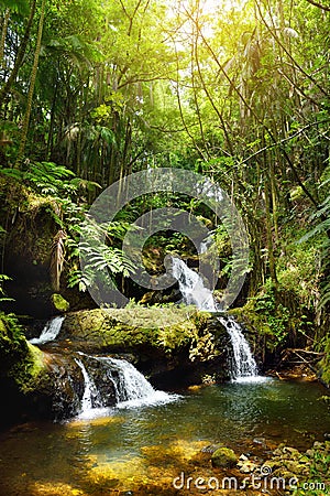 Fabulous Onomea Falls located in Hawaii Tropical Botanical Garden on the Big Island of Hawaii Stock Photo