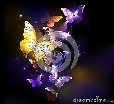 Fabulous purple butterflies on black background Vector Illustration