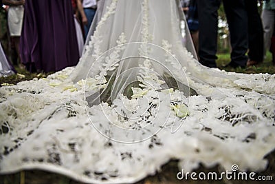 Fabulous wedding dress with petals on Stock Photo