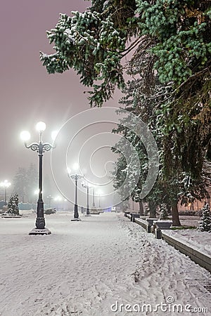 Fabulous winter city park Stock Photo