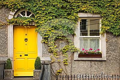 Window surrounded by ivy. Kilkenny. Ireland Editorial Stock Photo