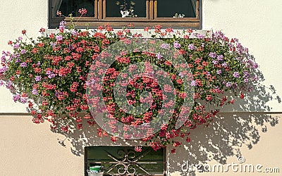 Facade with flowers Stock Photo