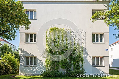 Facade greening with climbing plants in Vienna Favoriten Stock Photo