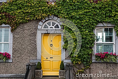 Facade of house braided with ivy and yellow door Stock Photo