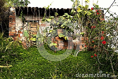 Facade of an old house in the city Stock Photo