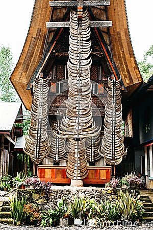 Facade of traditional torajan building tongkonan with a lot of buffalo horns. Tana Toraja, Sulawesi, Indonesia Editorial Stock Photo