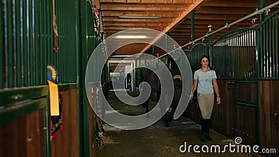 Faccia scorrere dentro sulla grande stalla con i lotti dei cavalli, donna che elimina il cavallo stock footage Faccia scorrere dentro sulla grande stalla con i lotti dei cavalli, donna che elimina il cavallo stock footage