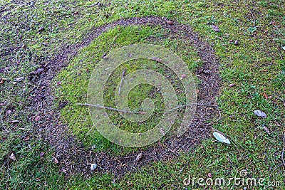 Face carved into grass and shaped with twigs and sticks Stock Photo