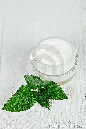 Face cream in glass jar with green leaf of urtica Stock Photo