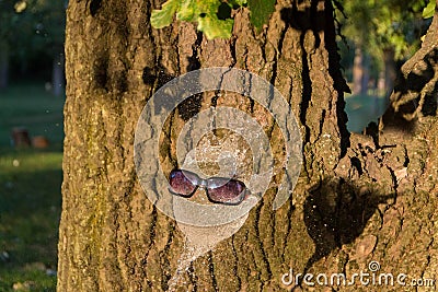 A face made from water Stock Photo