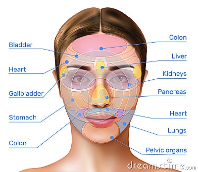 Face Mapping Infographics Vector Illustration