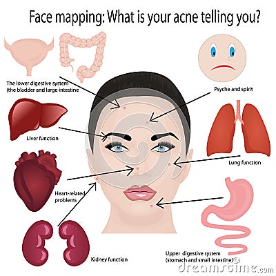 Face mapping. Vector Illustration